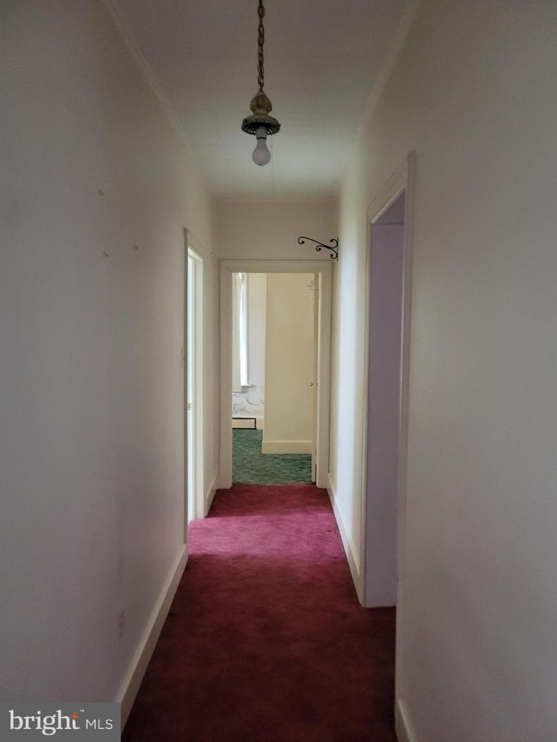 807 Mulberry Avenue photo 6