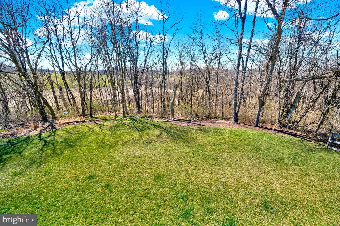 214 Monument Drive photo 46