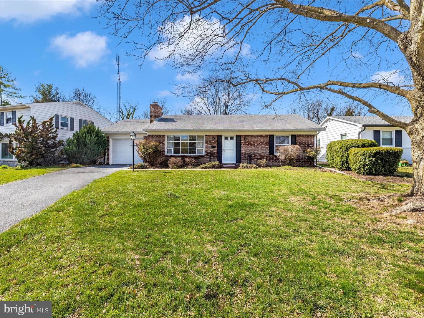 407 Belview Avenue photo 47