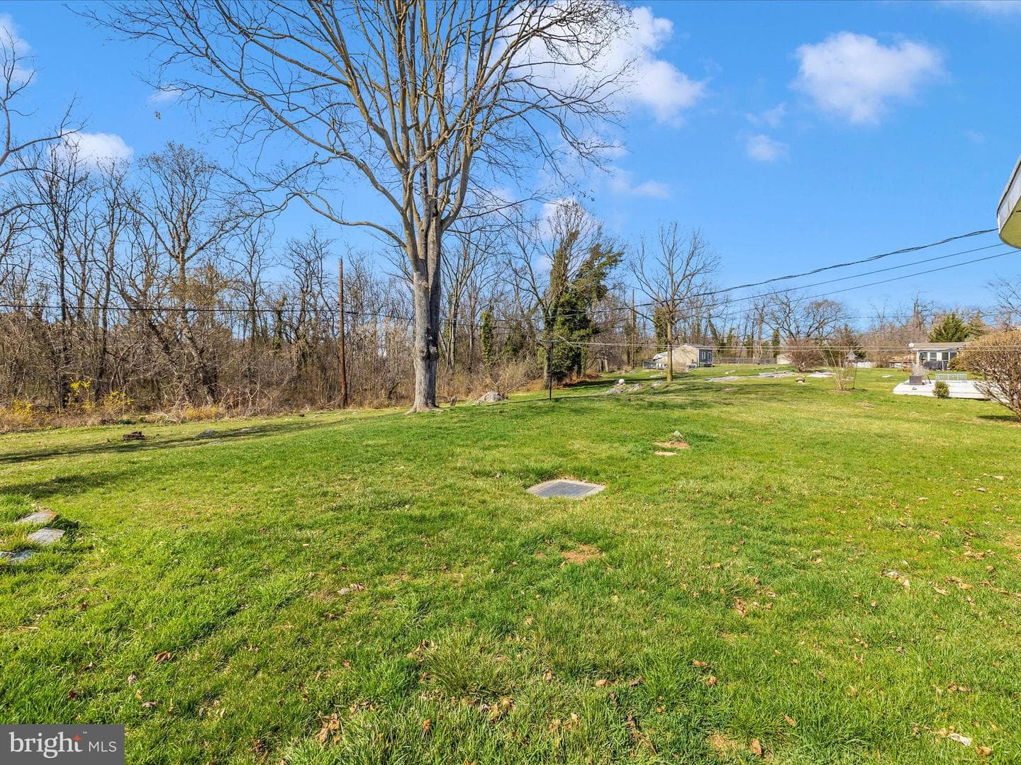 407 Belview Avenue photo 50