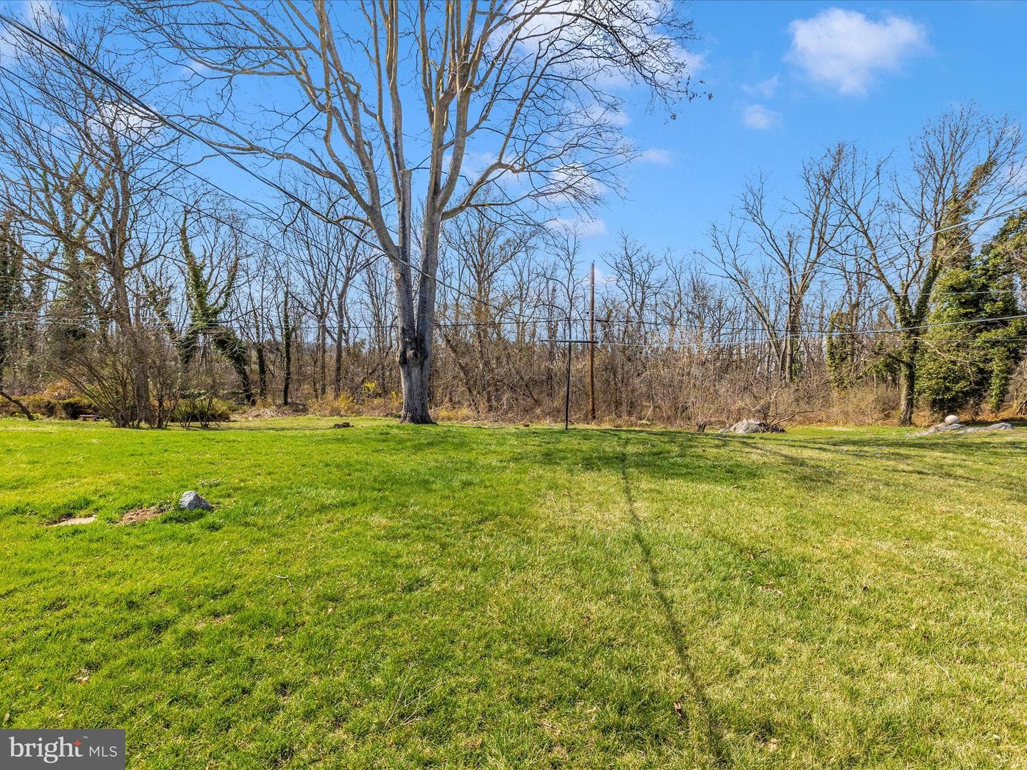 407 Belview Avenue photo 57