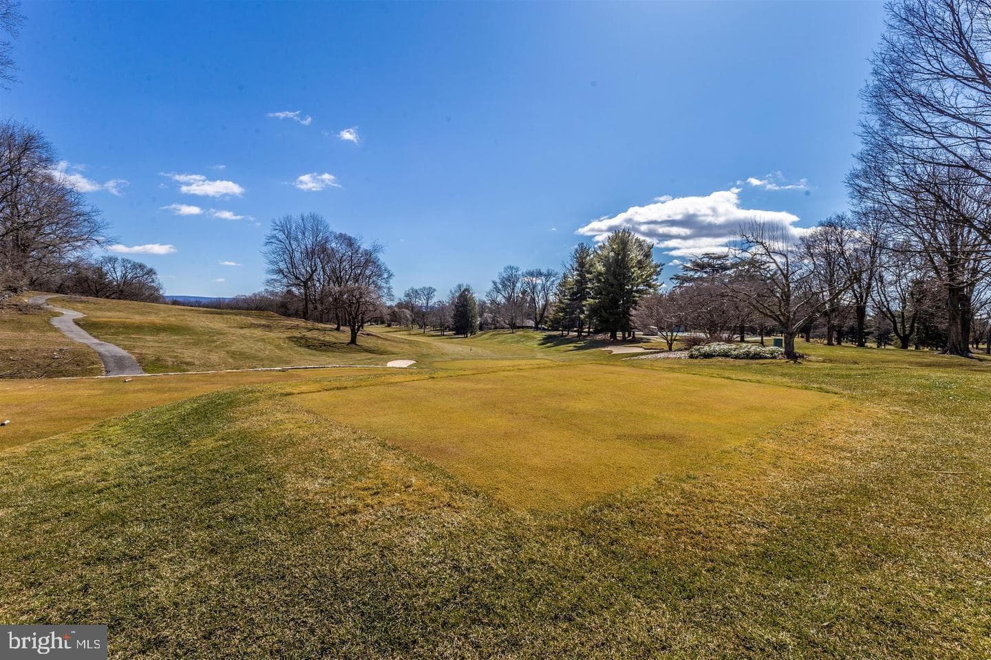 13235 Briarcliff Drive photo 86