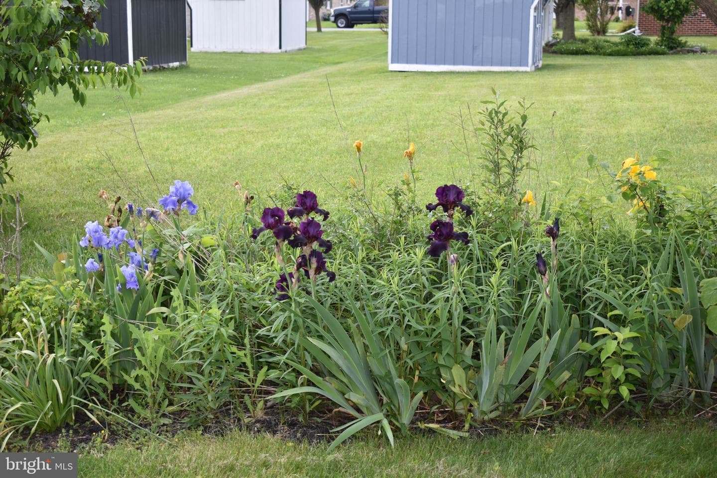 1206 Rabbit Court photo 29