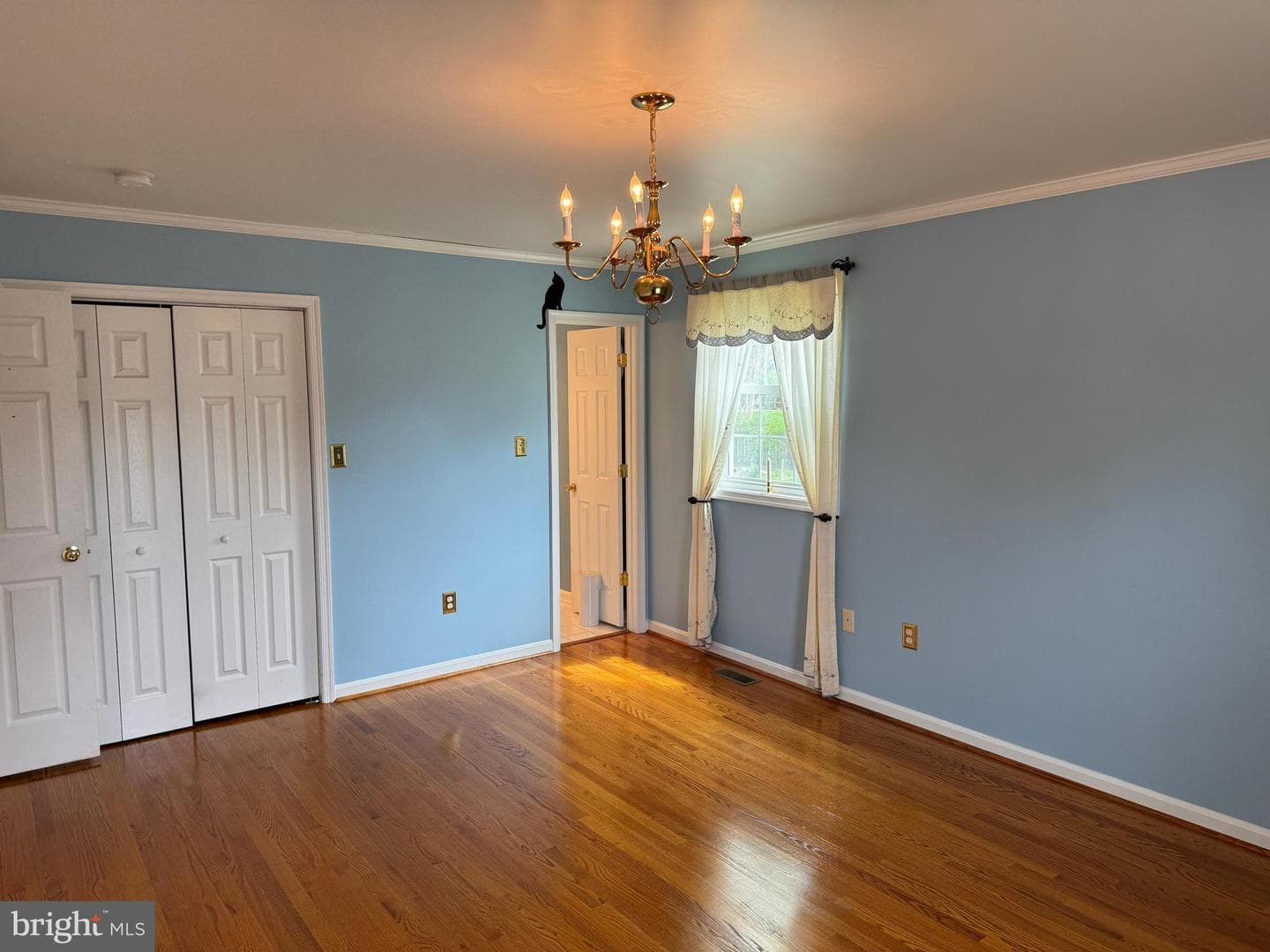 10837 Oak Valley Drive photo 39