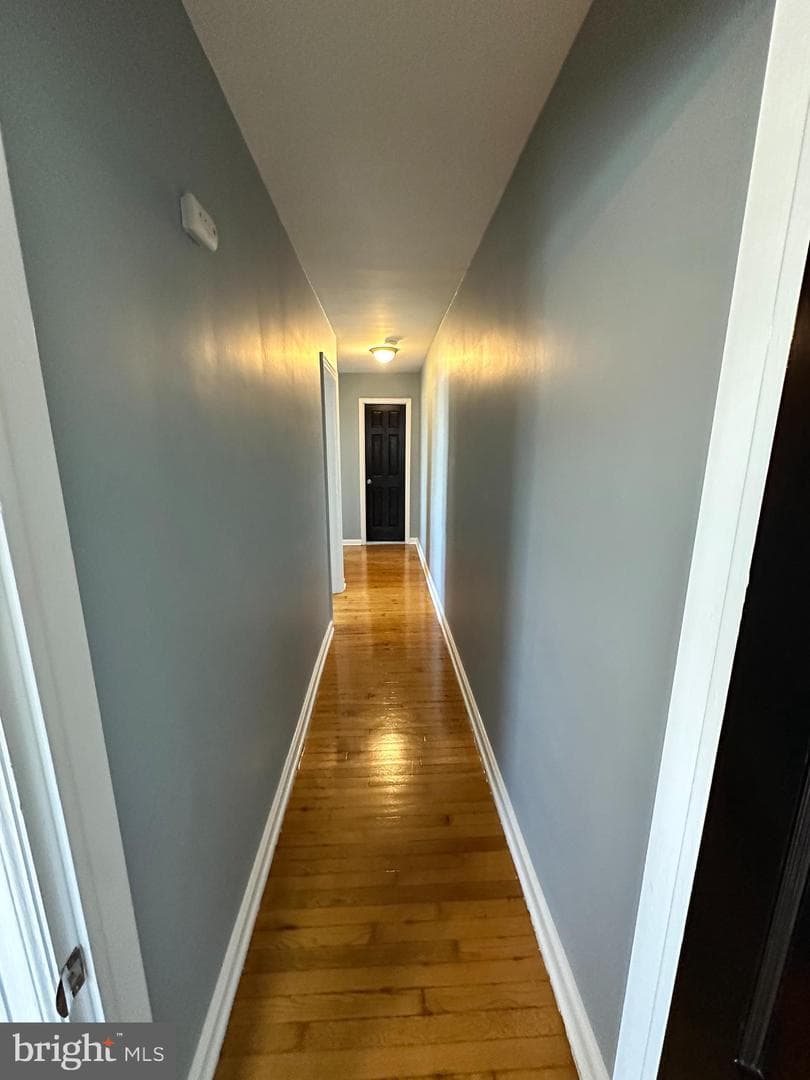 300 Radcliffe Avenue photo 25
