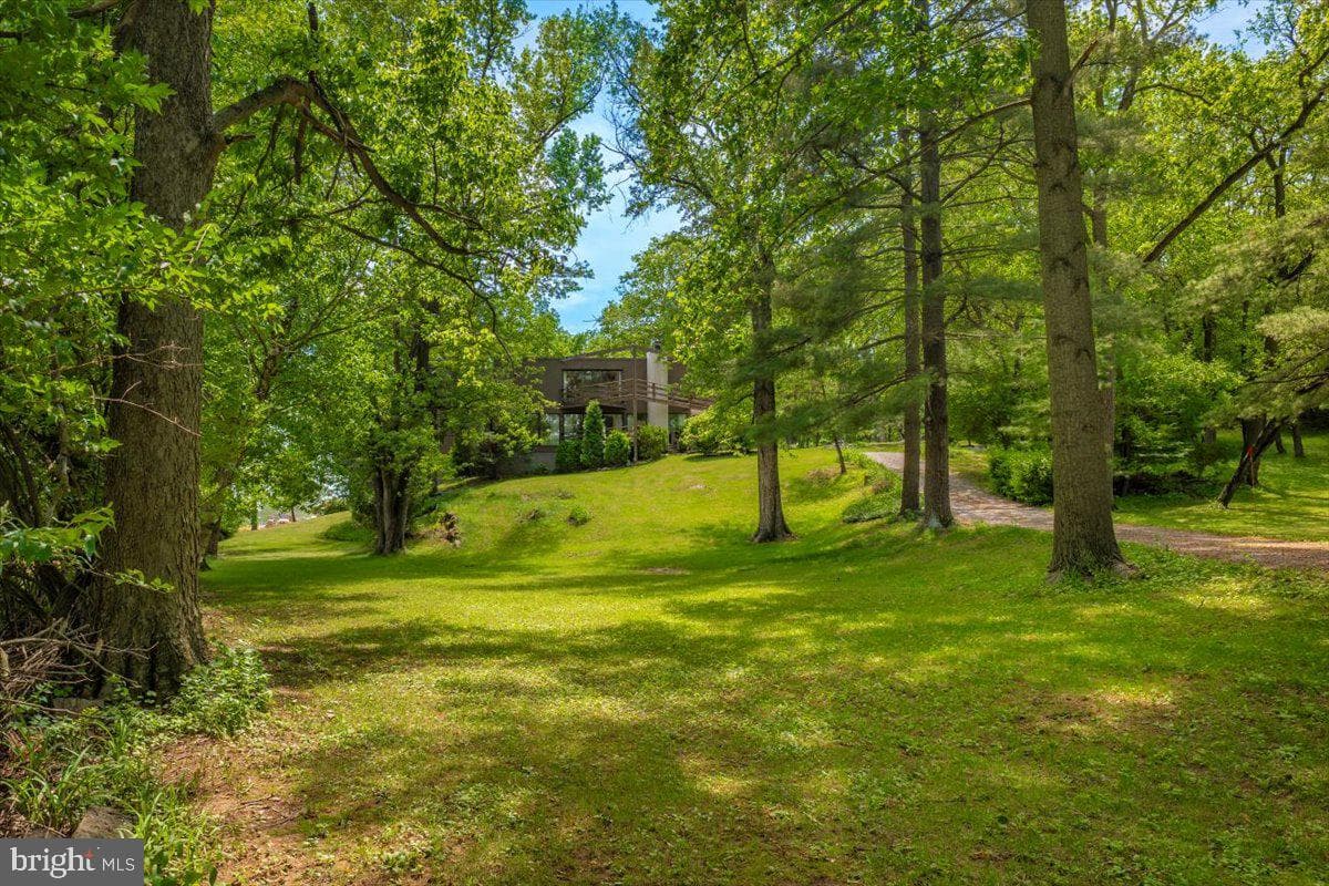 19611 Longmeadow Road photo 3