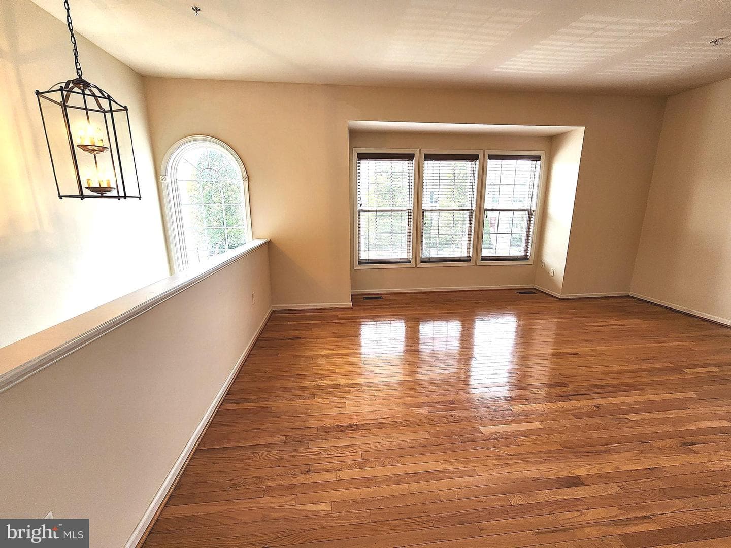 10361 Bridle Court photo 4