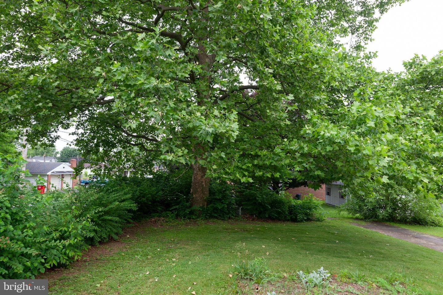 18010 Alpine Drive photo 16
