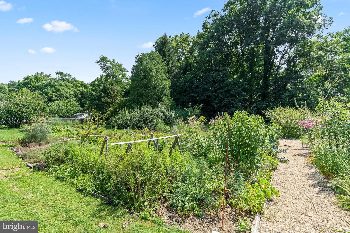 11115 Glenside Avenue photo 31
