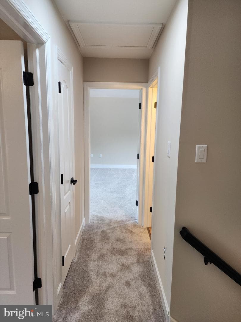 5 Dartmouth Drive photo 53