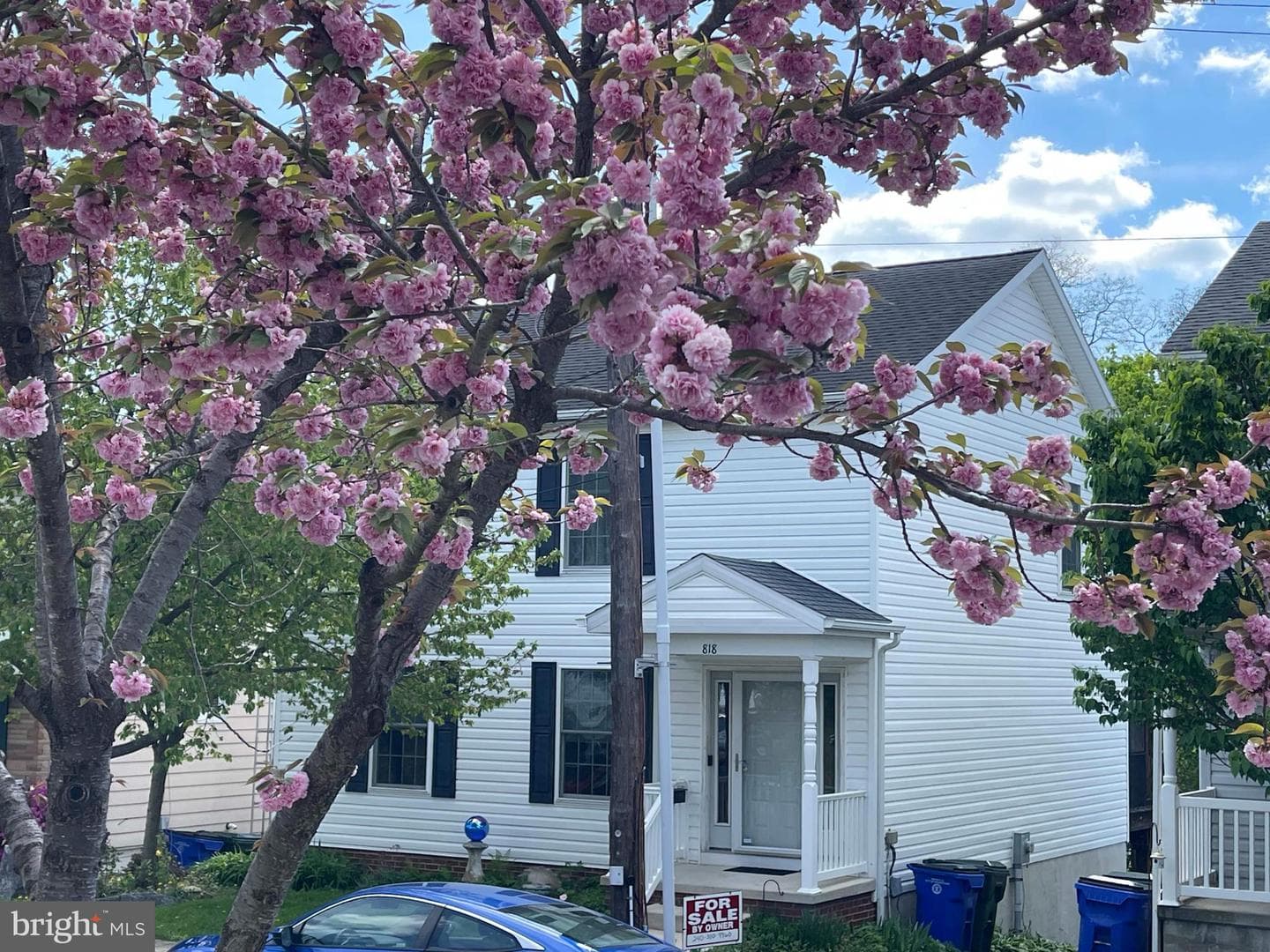 818 View Street photo 33
