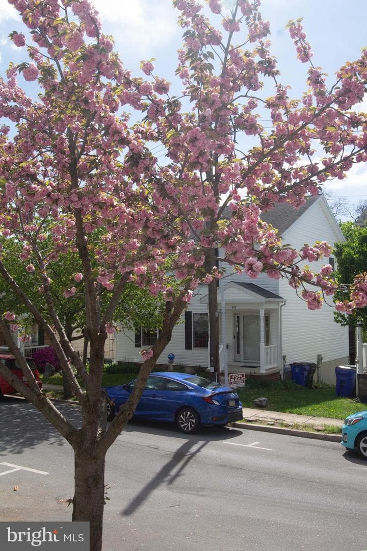 818 View Street photo 34