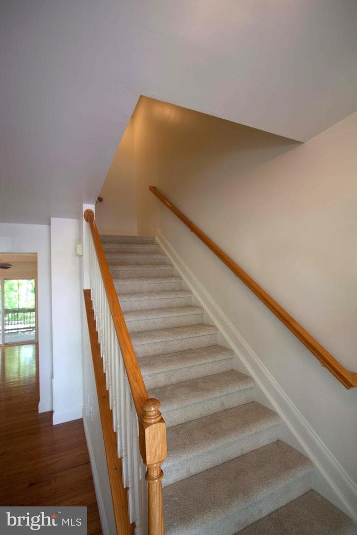818 View Street photo 8