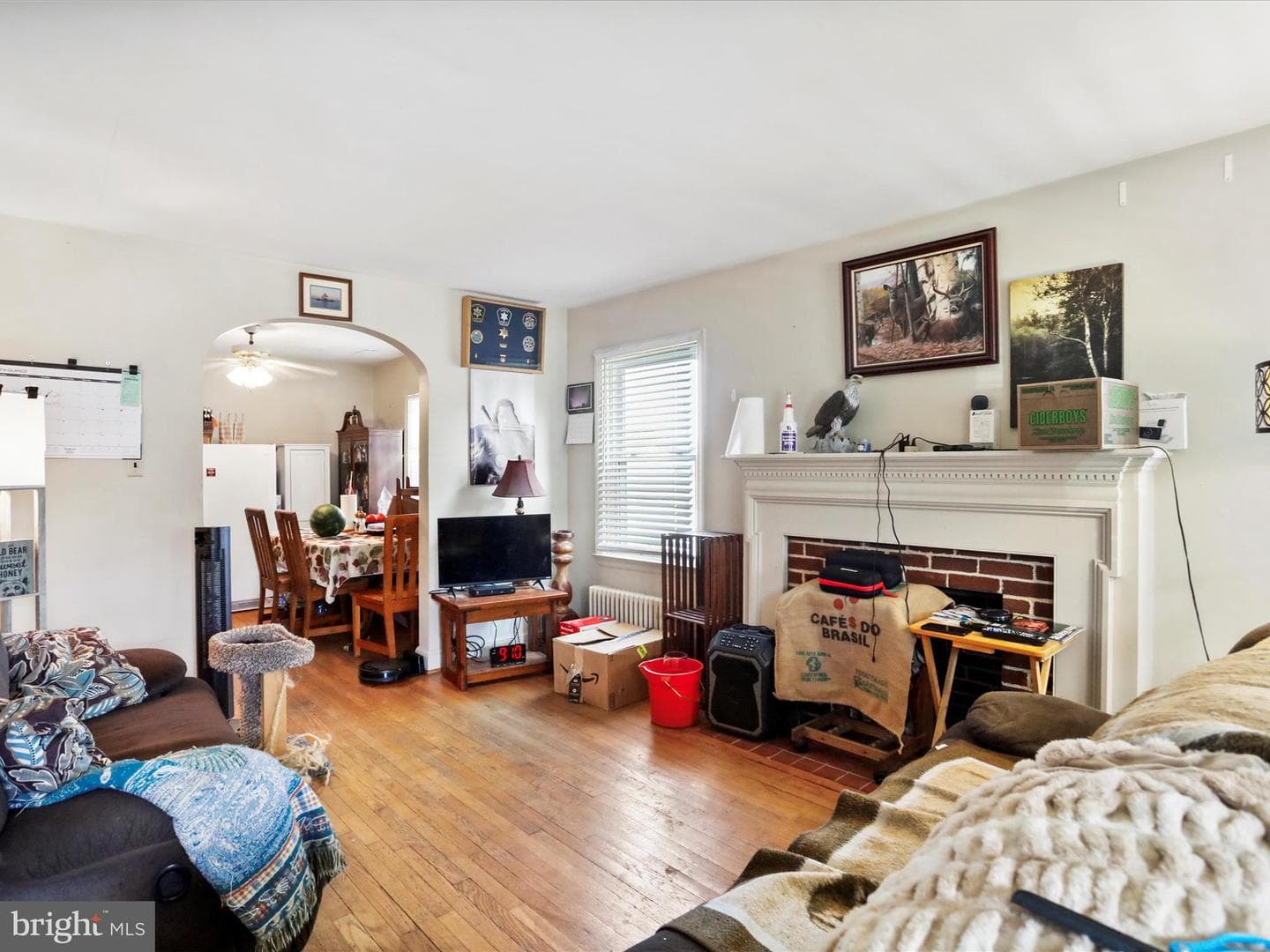 843 Frederick Street photo 5