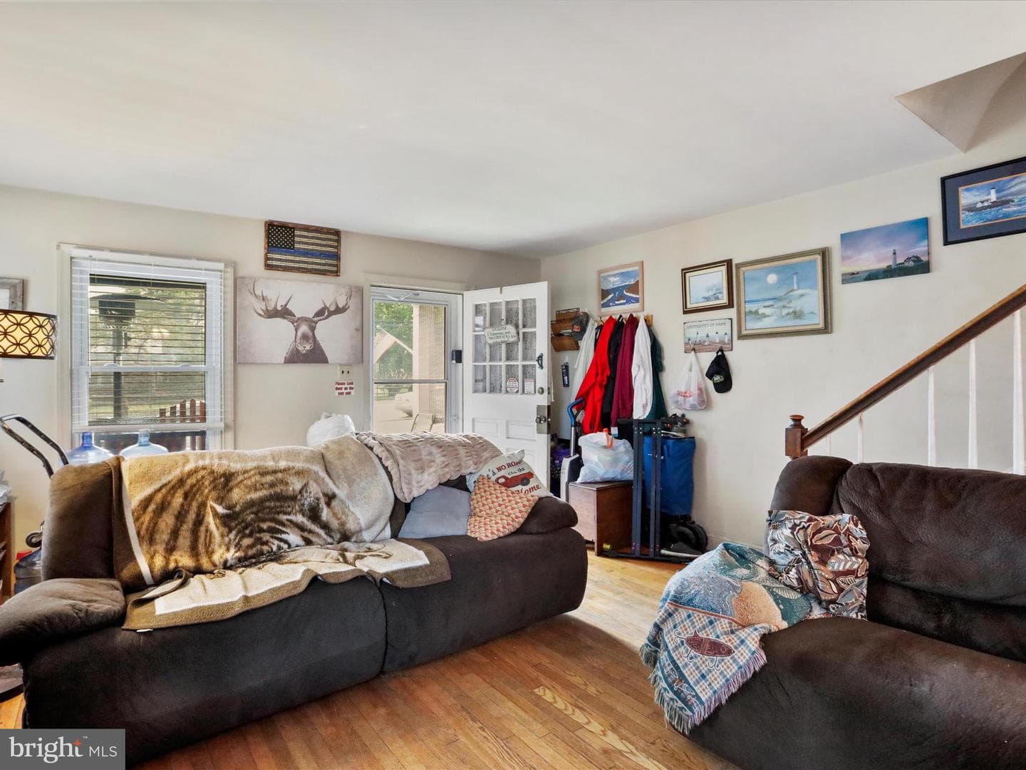 843 Frederick Street photo 6