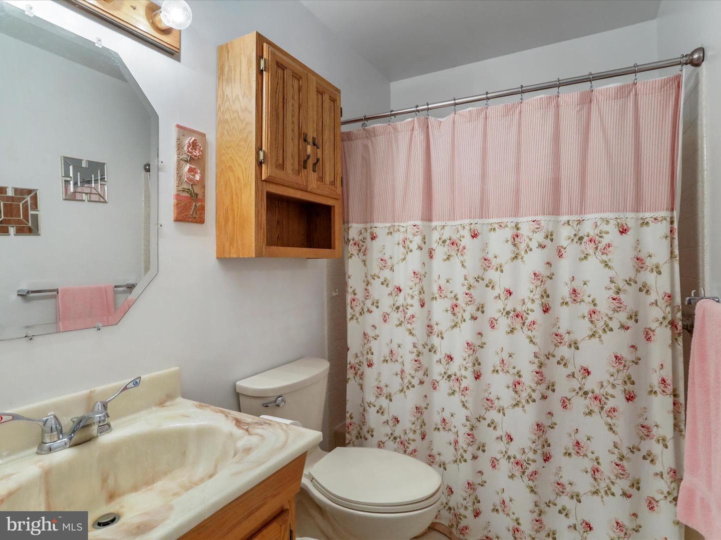 10825 Wyncote Drive photo 15