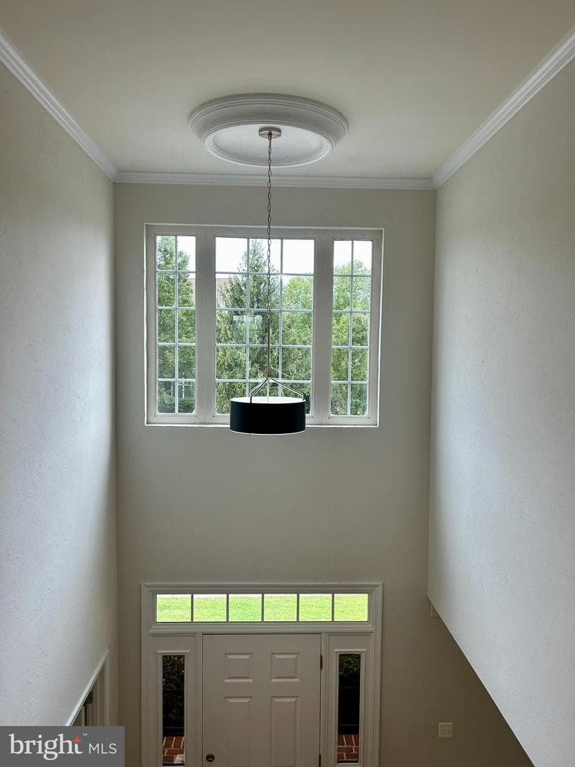 109 Conestoga Court photo 13