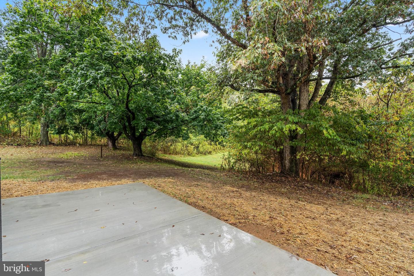 16115 Spade Road photo 35