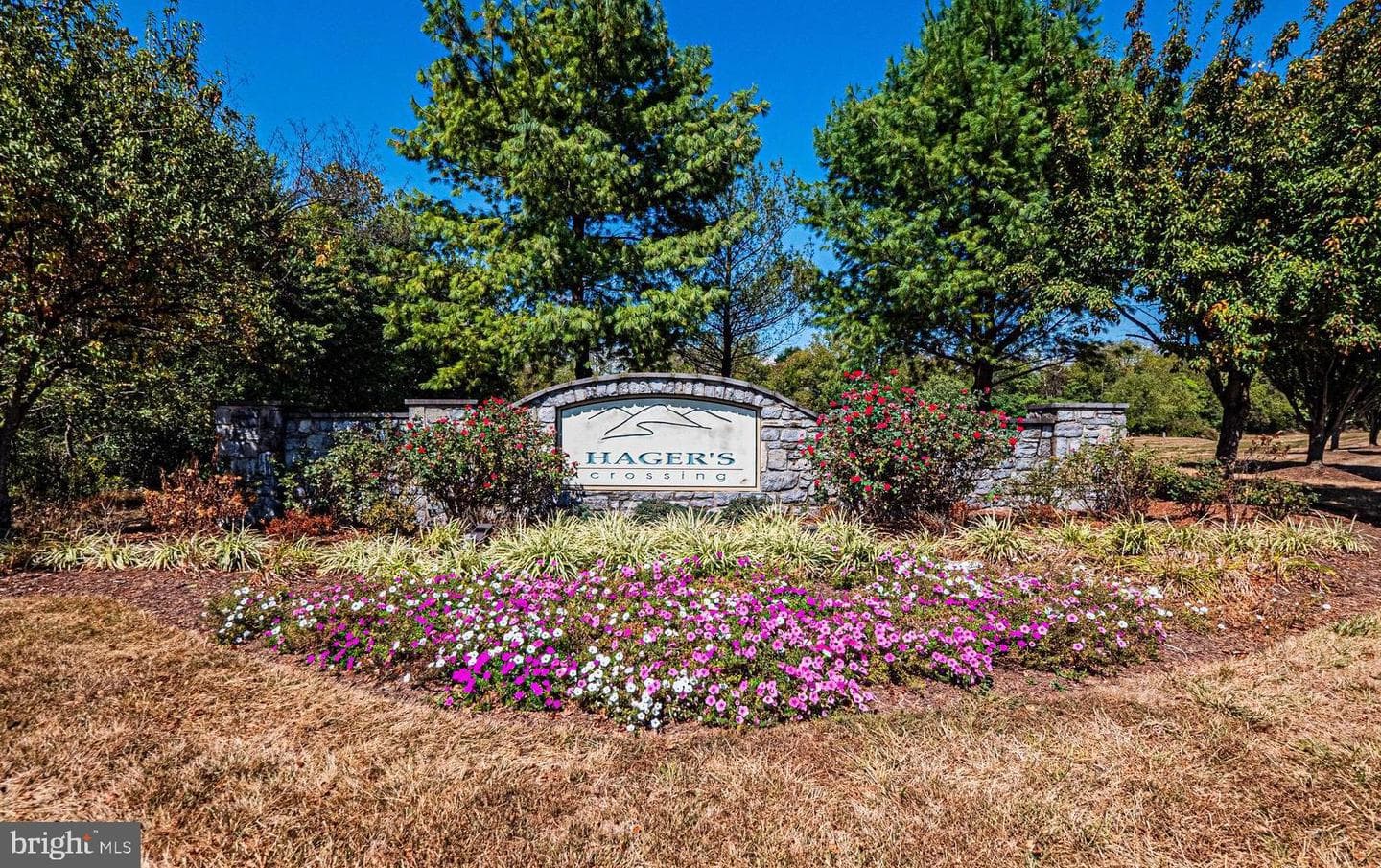 17734 Perlite Way photo 42
