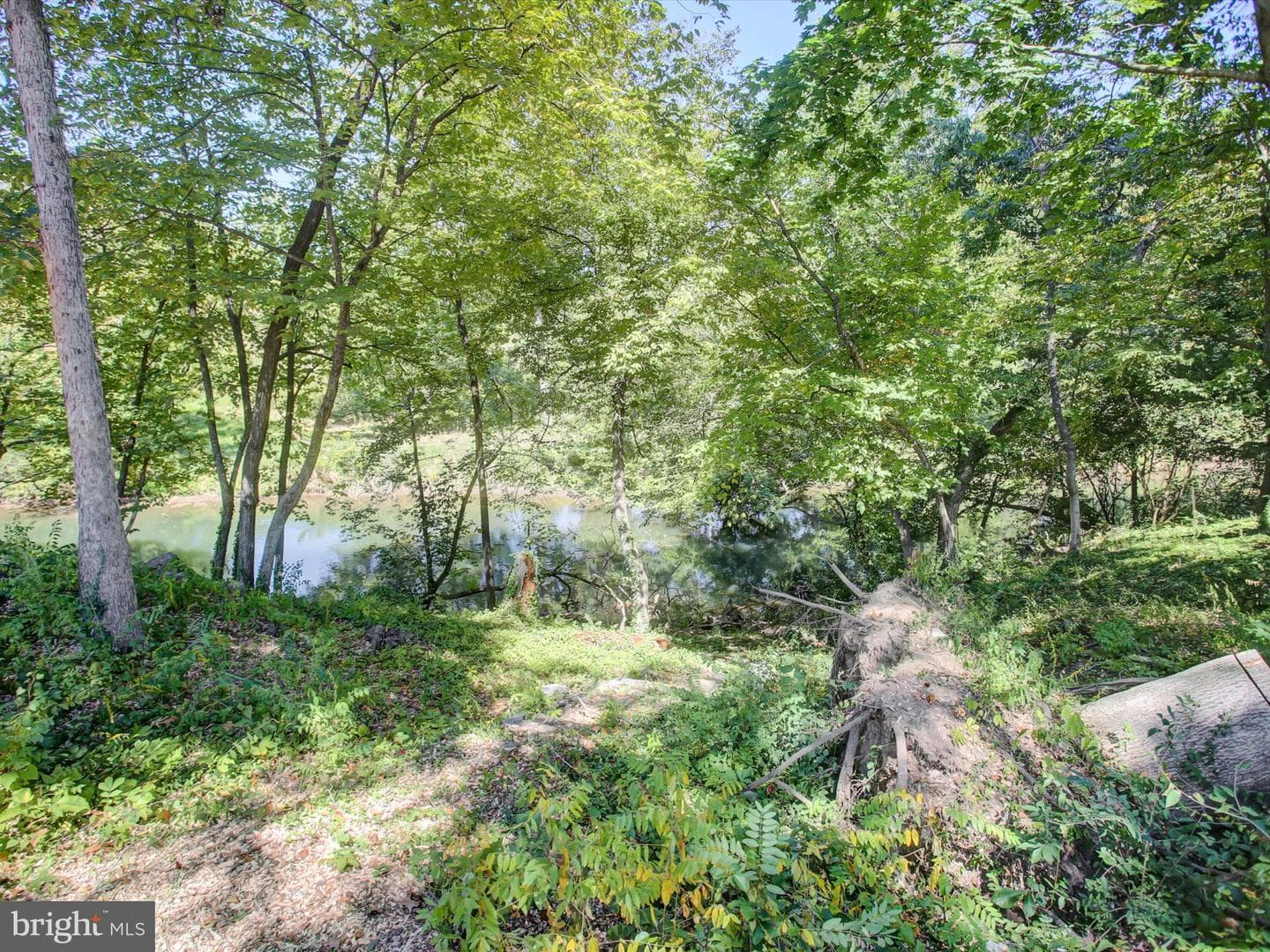 1 Dartmouth Drive photo 46