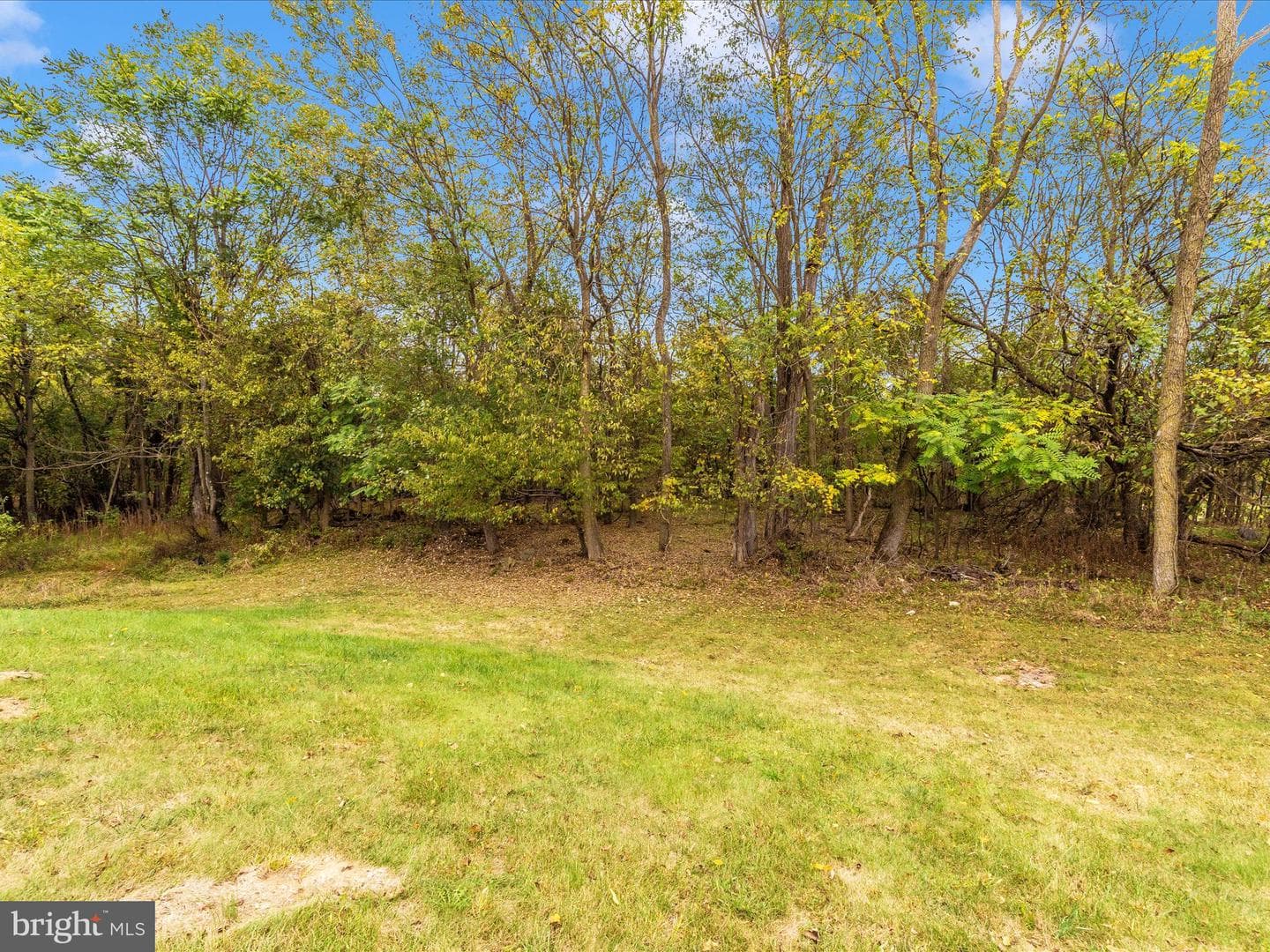 13109 Little Antietam Road photo 47