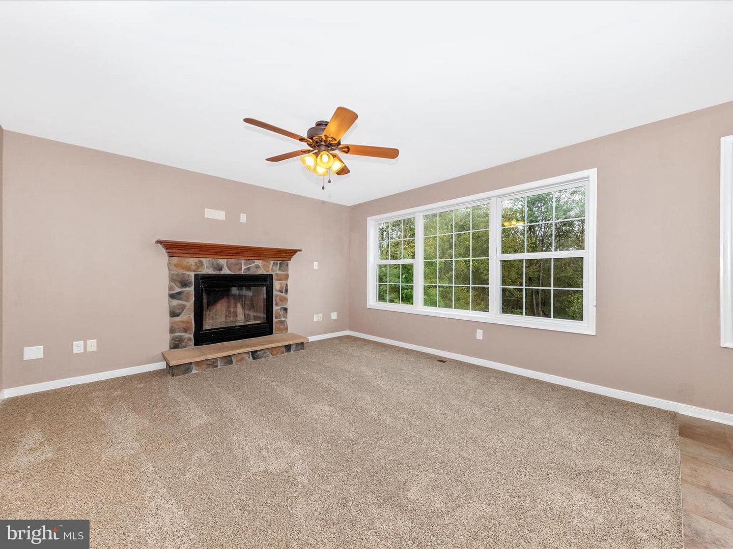 13109 Little Antietam Road photo 8