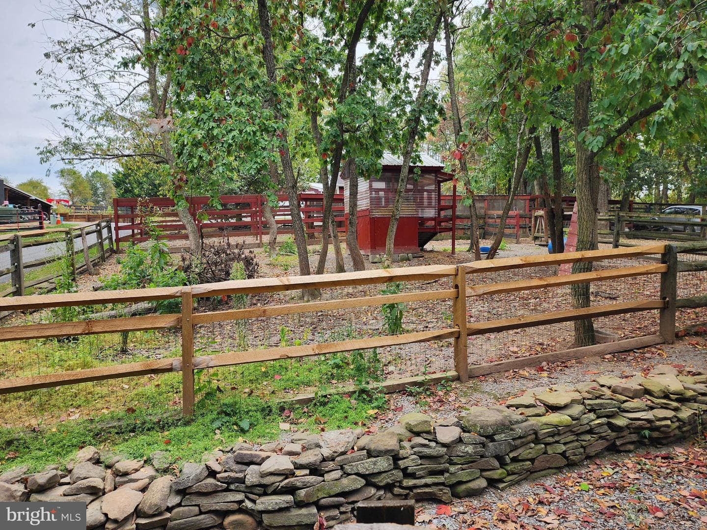 14847 White Oak Ridge photo 100