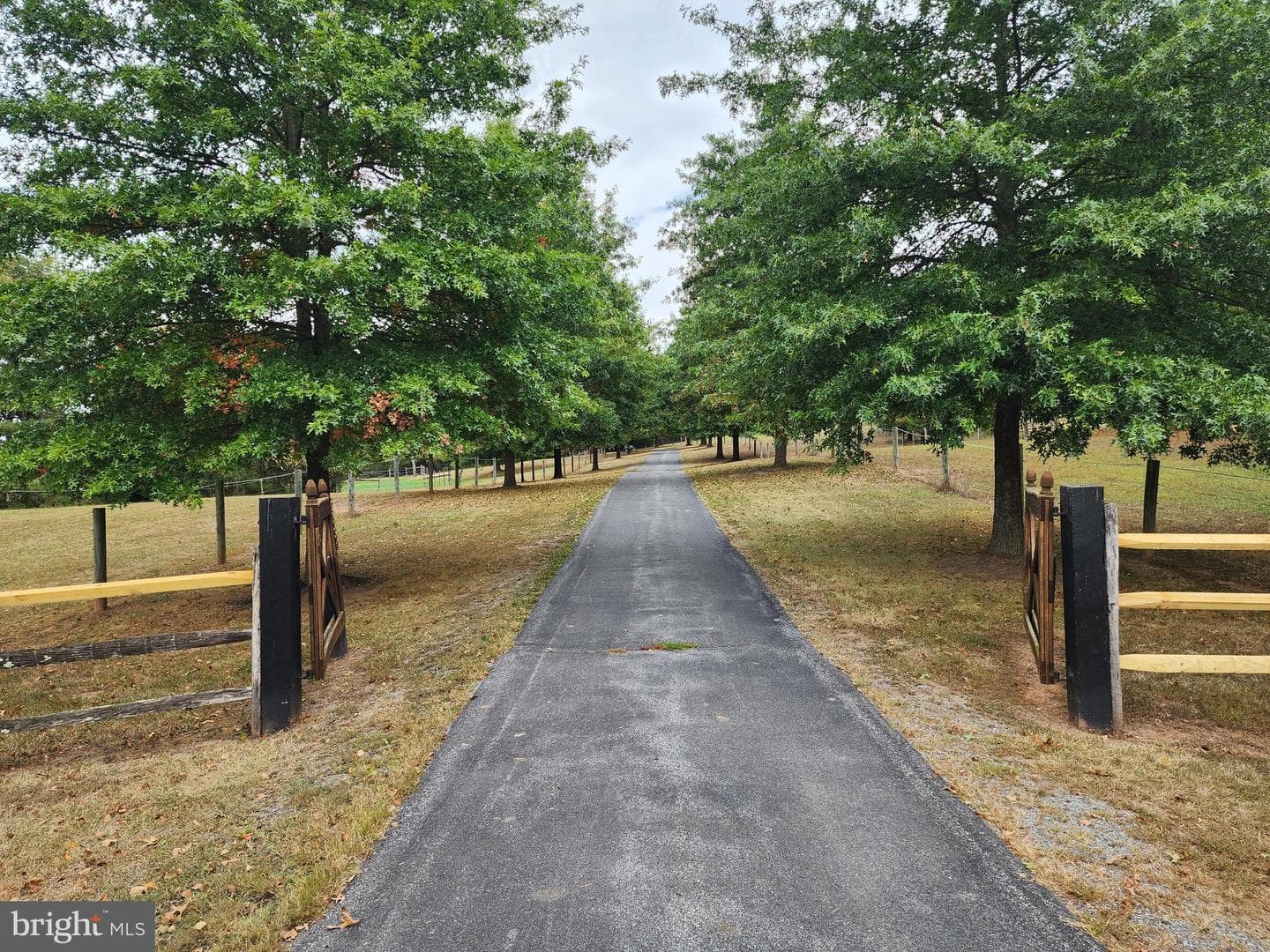 14847 White Oak Ridge photo 42