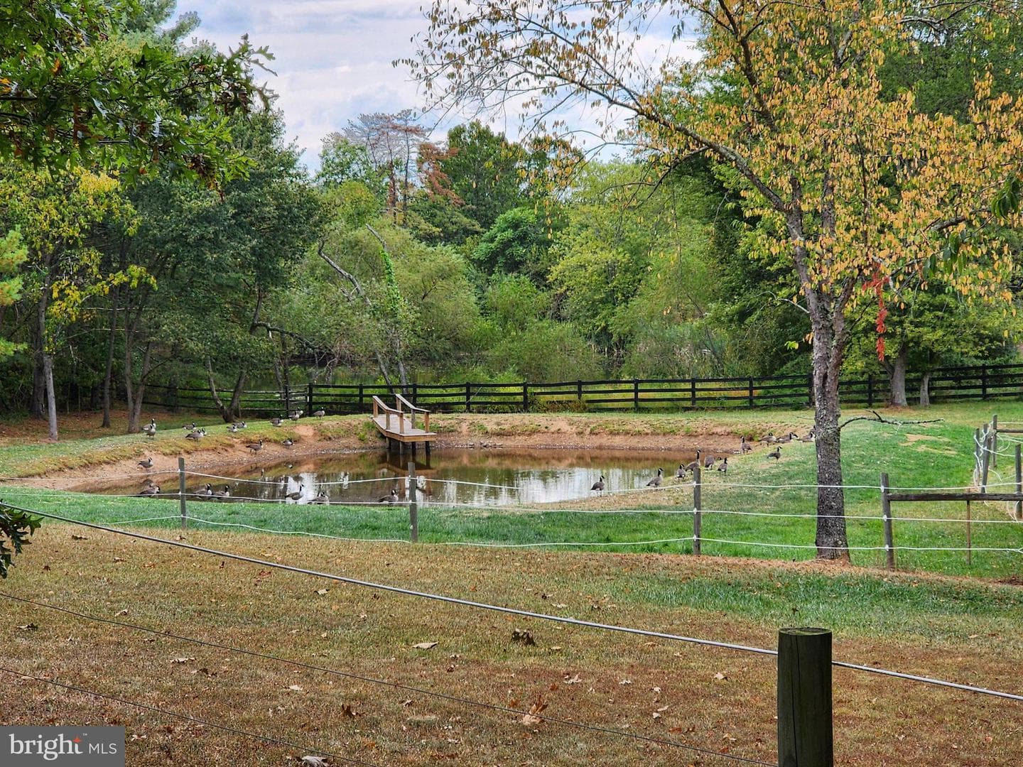 14847 White Oak Ridge photo 45