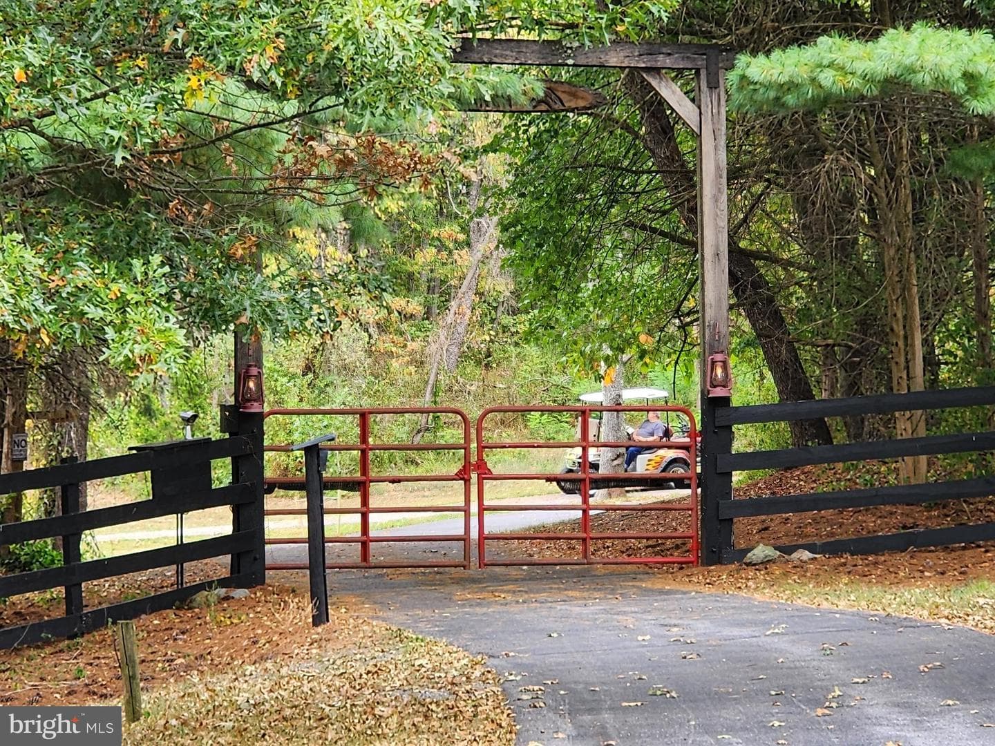 14847 White Oak Ridge photo 46