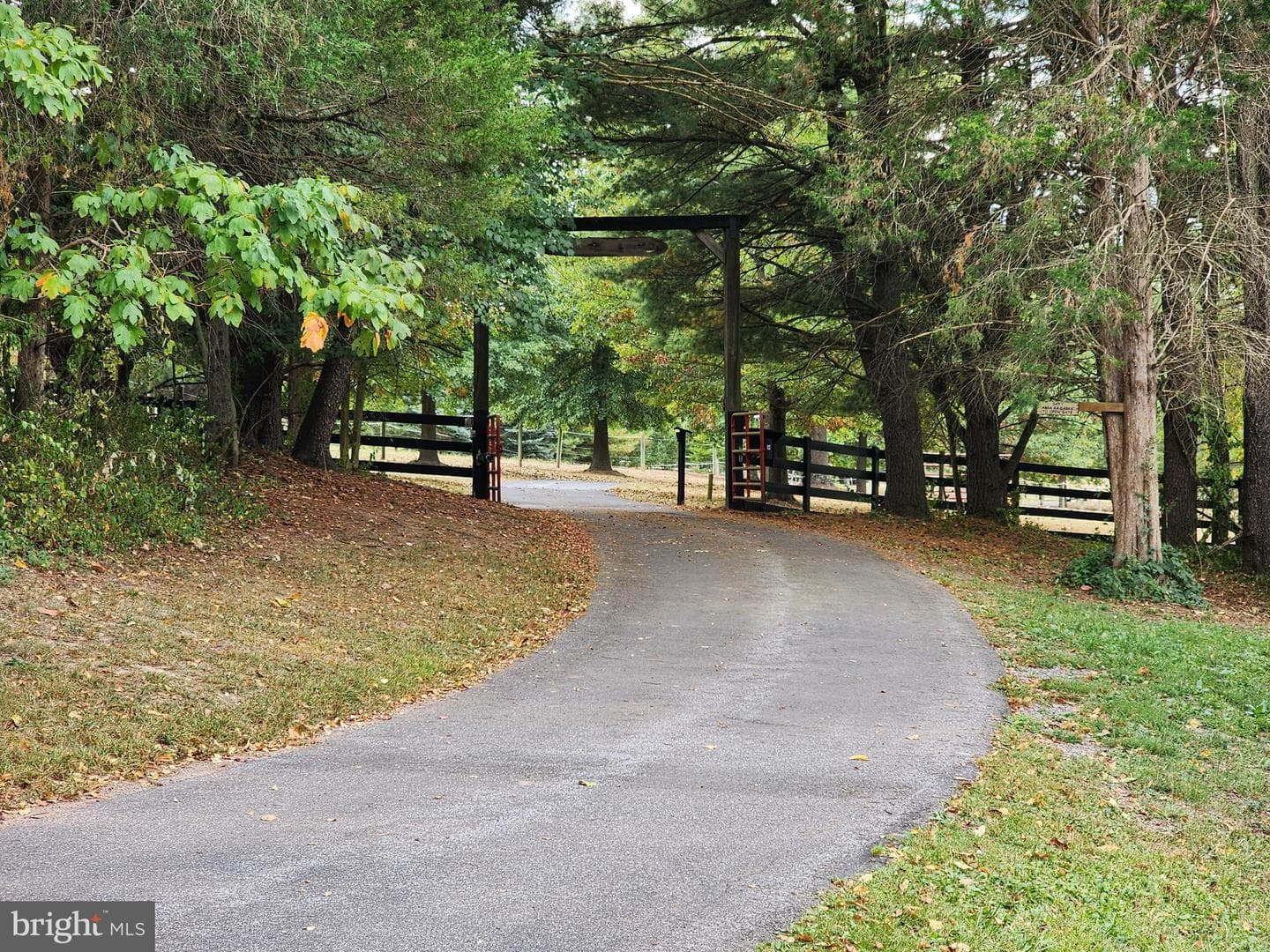 14847 White Oak Ridge photo 49