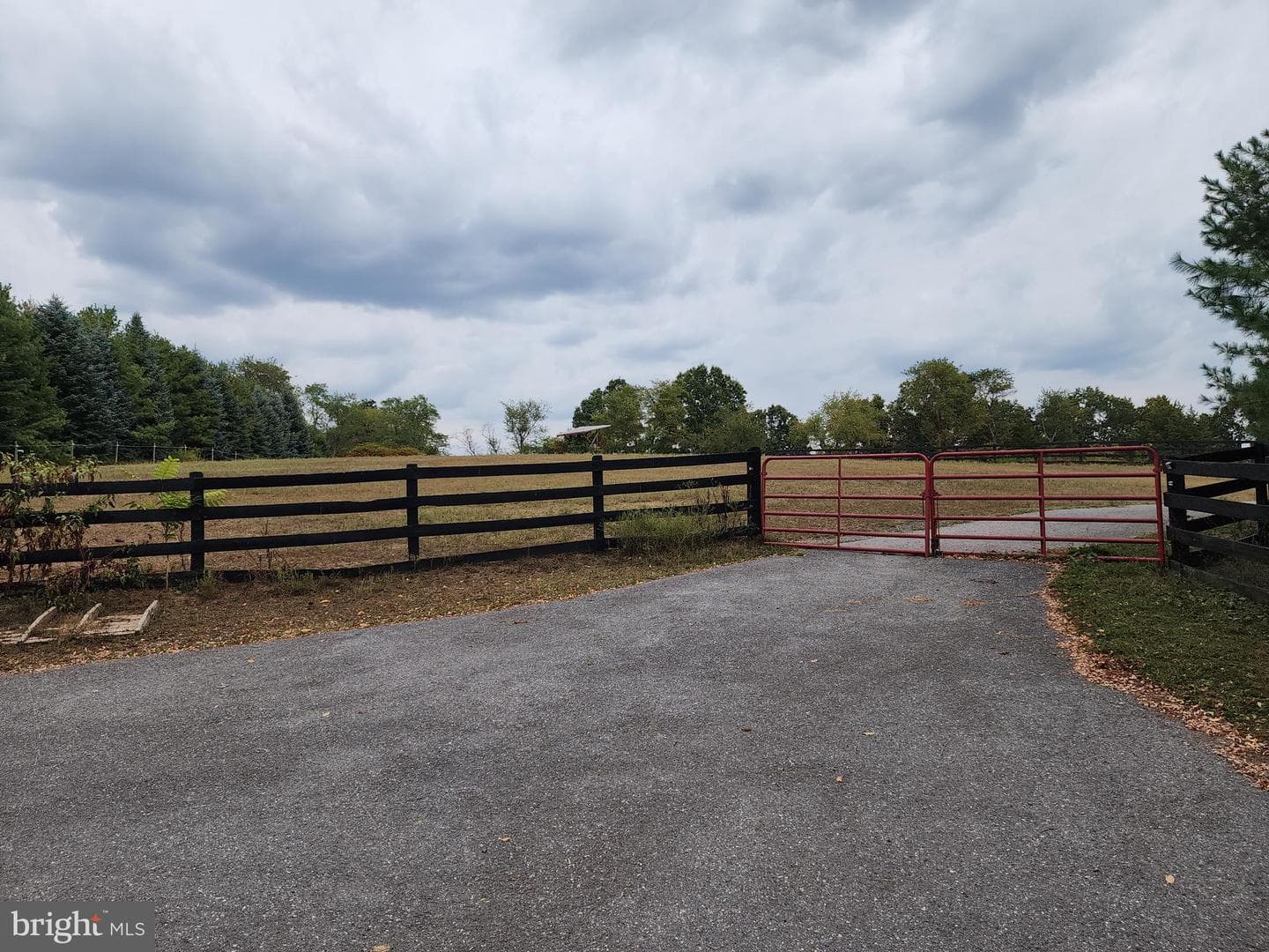 14847 White Oak Ridge photo 85