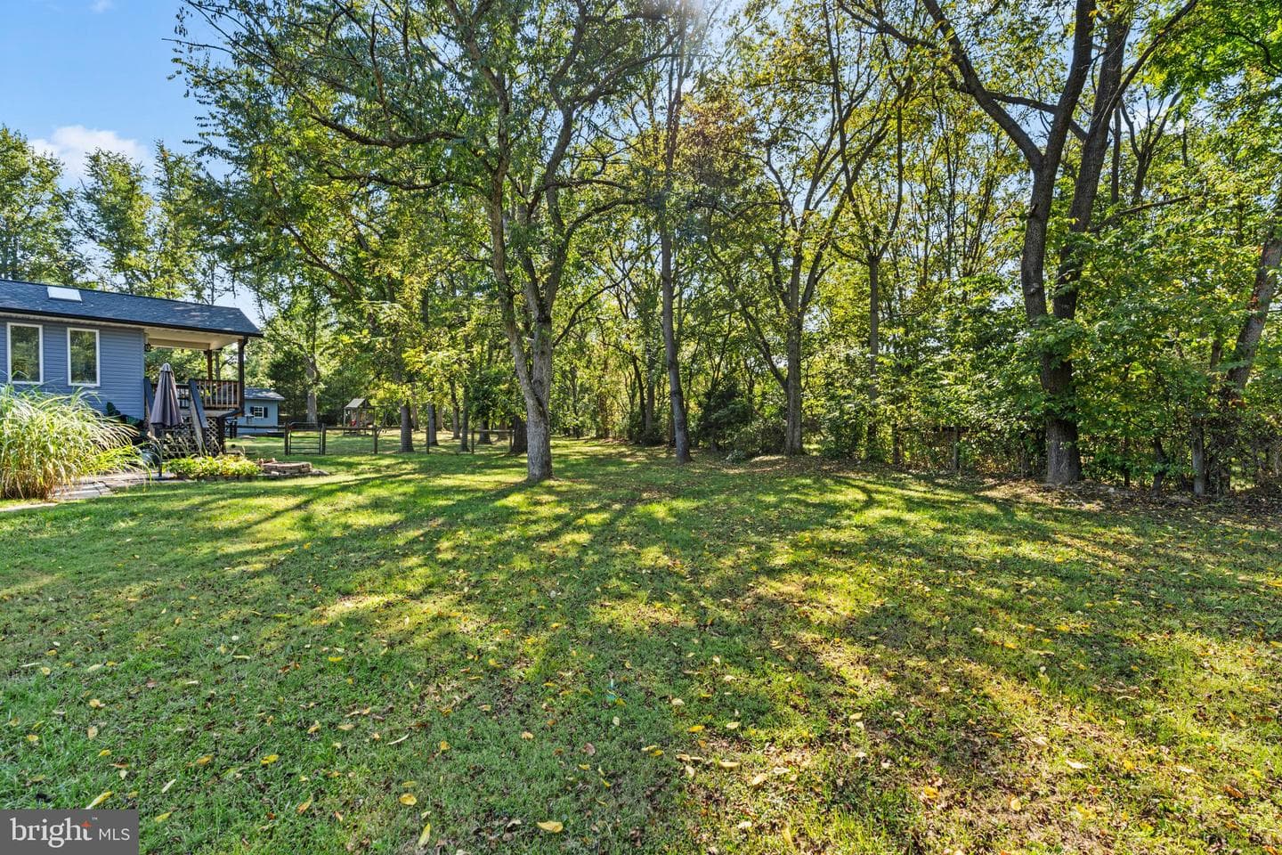 10612 Carter Way photo 52