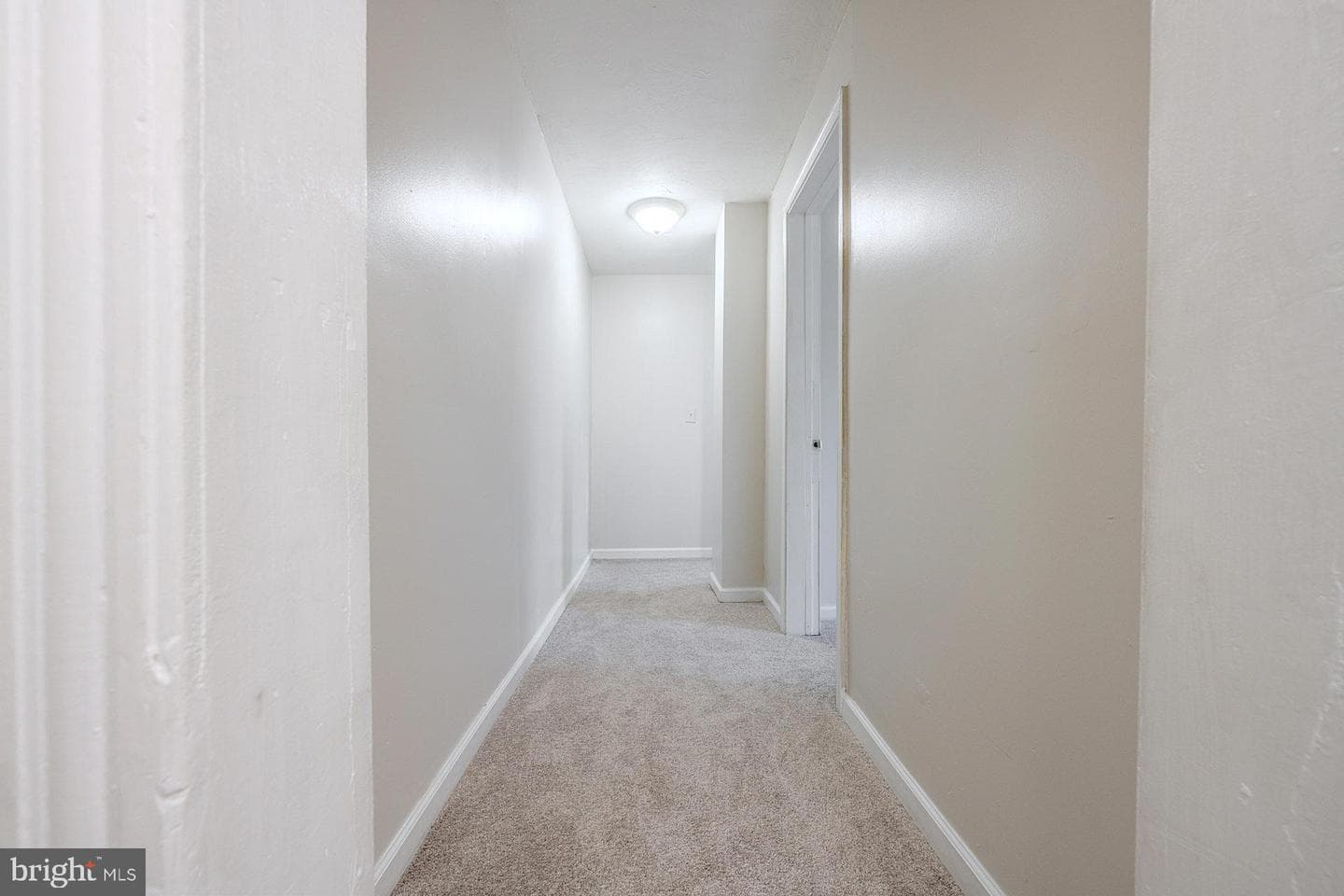 1037 & 1037 1/2 Spruce Street photo 11