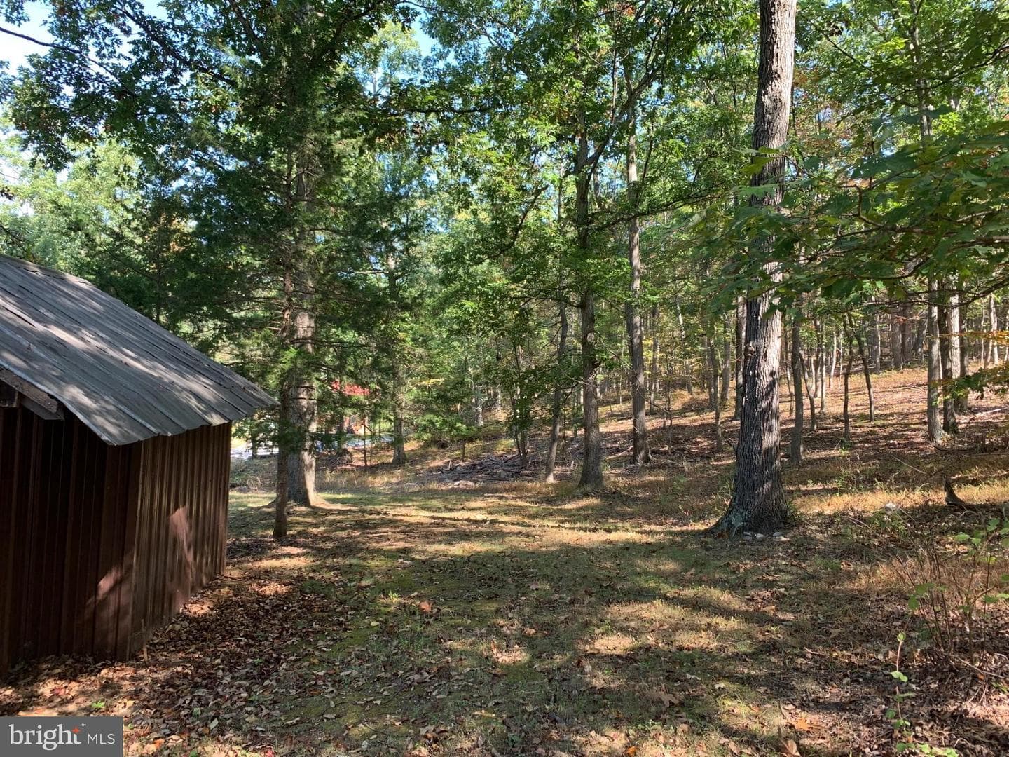 12087 Cove Road photo 13