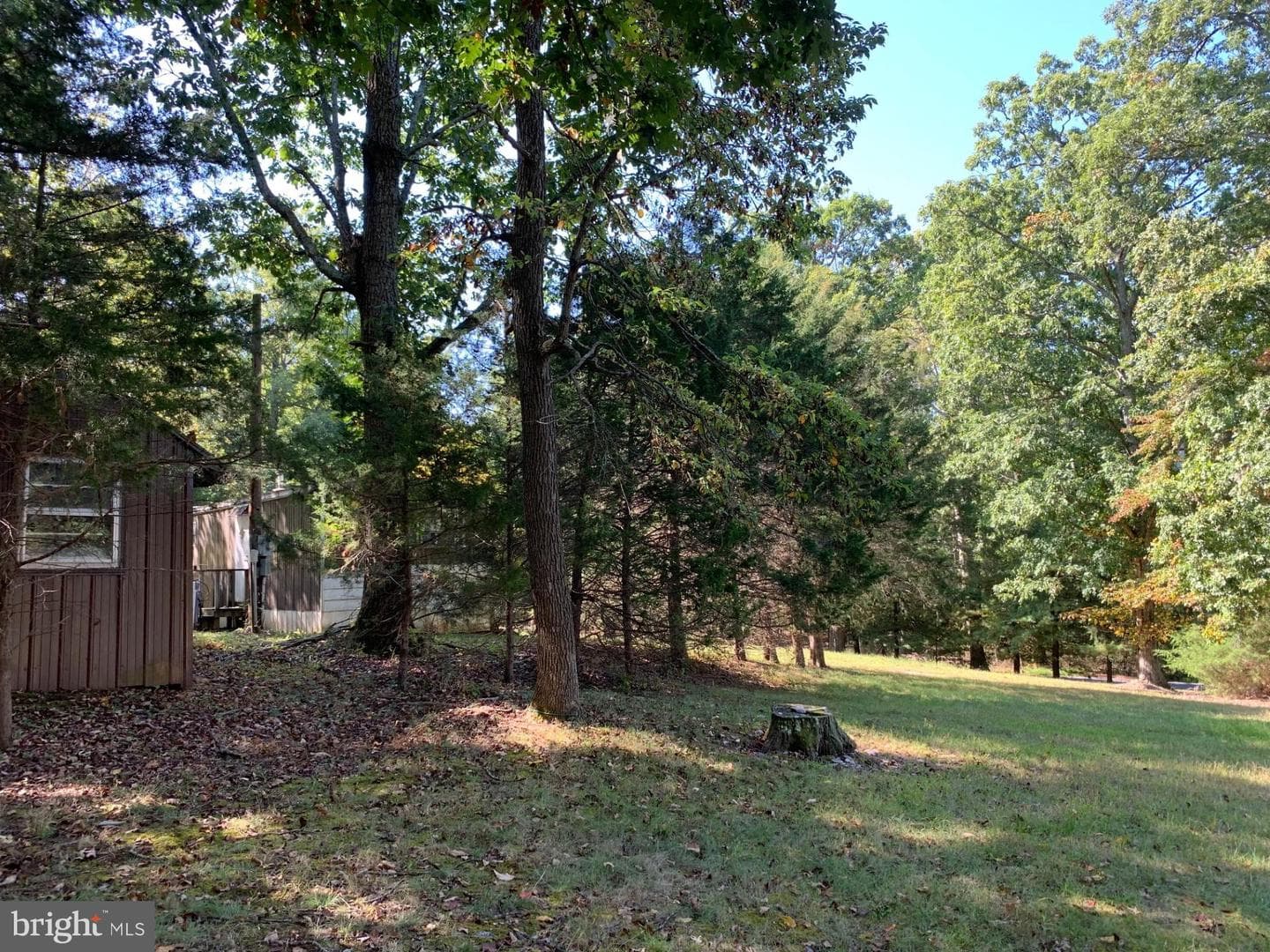 12087 Cove Road photo 14