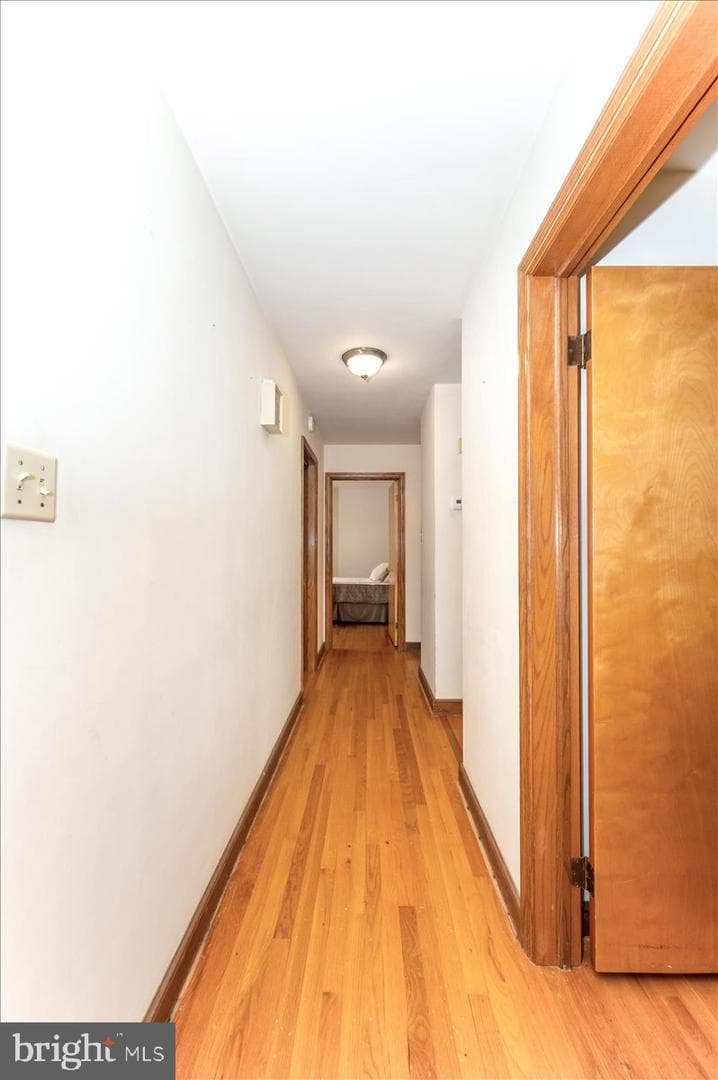 113 Orchard Drive photo 22