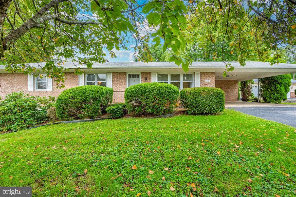 113 Orchard Drive photo 3