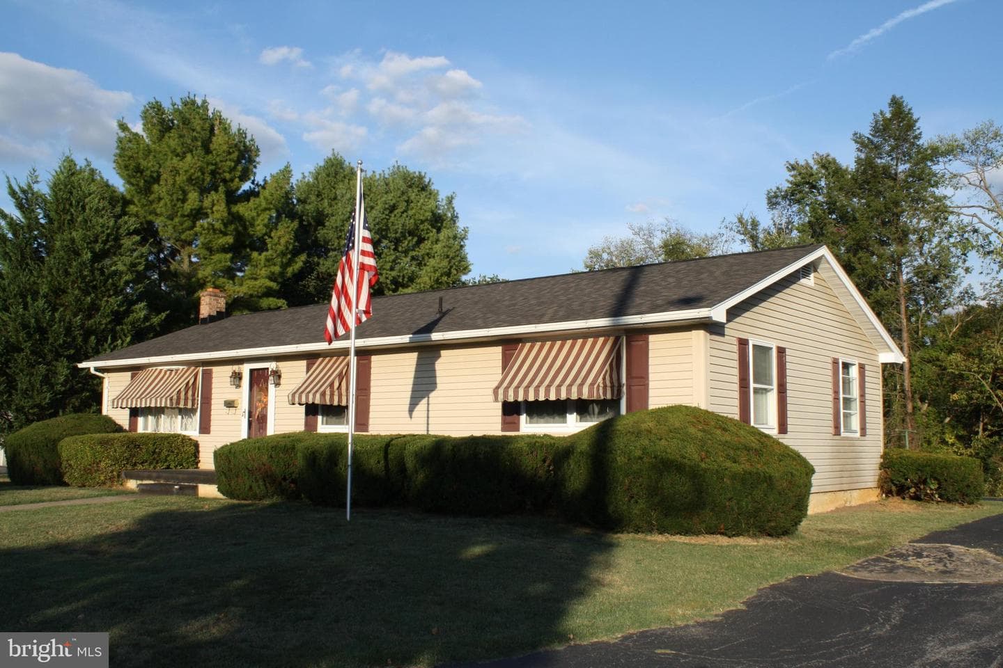 30 Willard Street