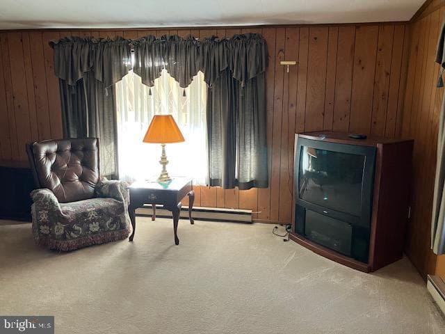 30 Willard Street photo 11