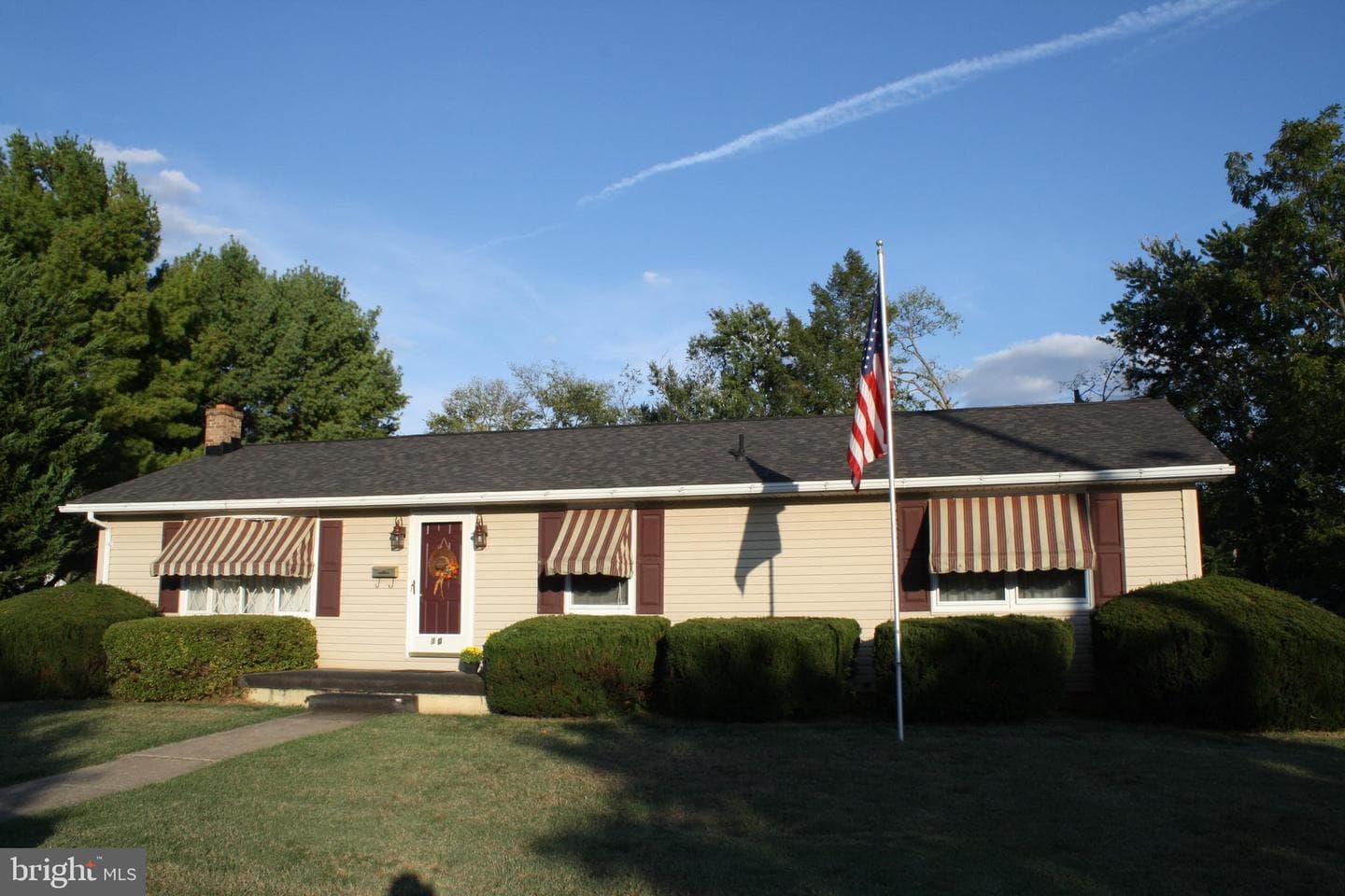 30 Willard Street photo 35