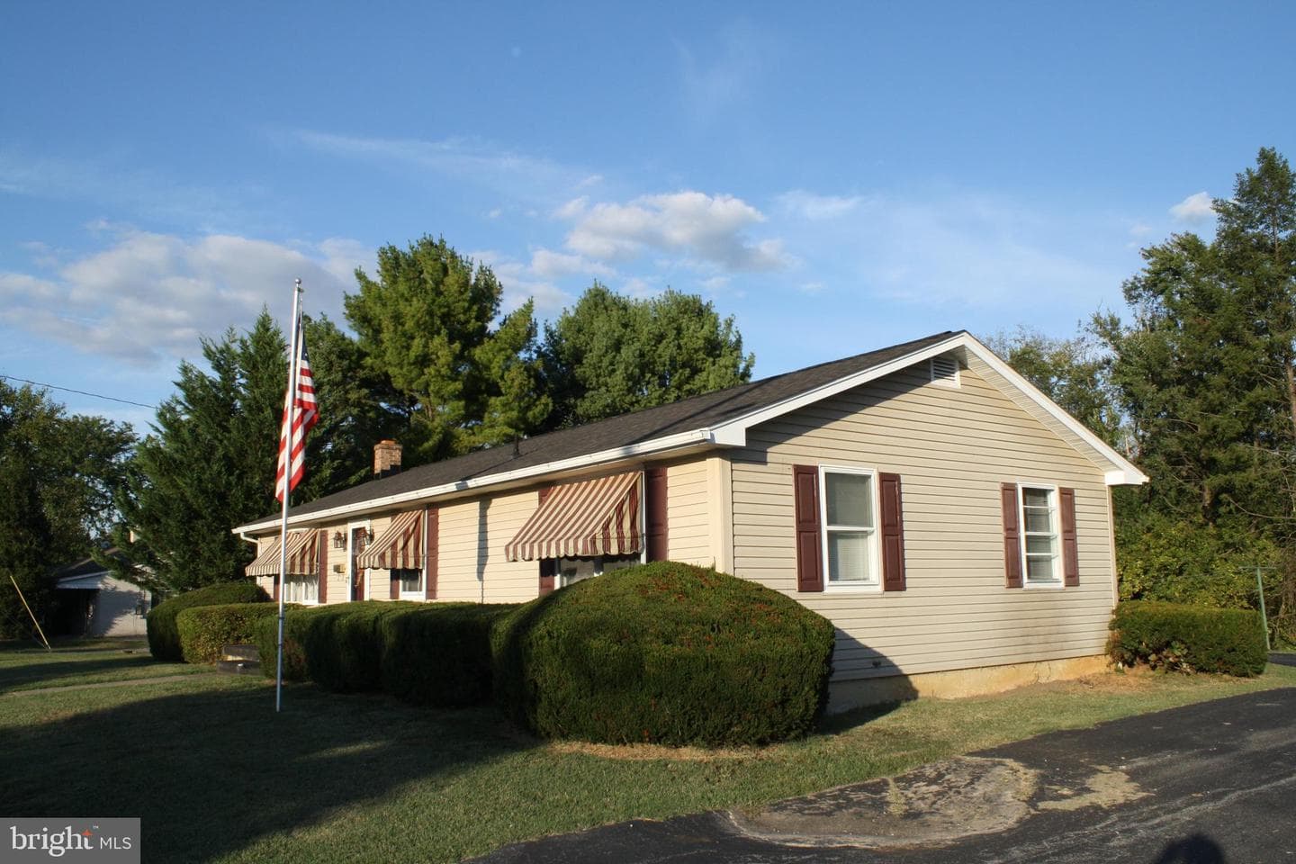 30 Willard Street photo 36