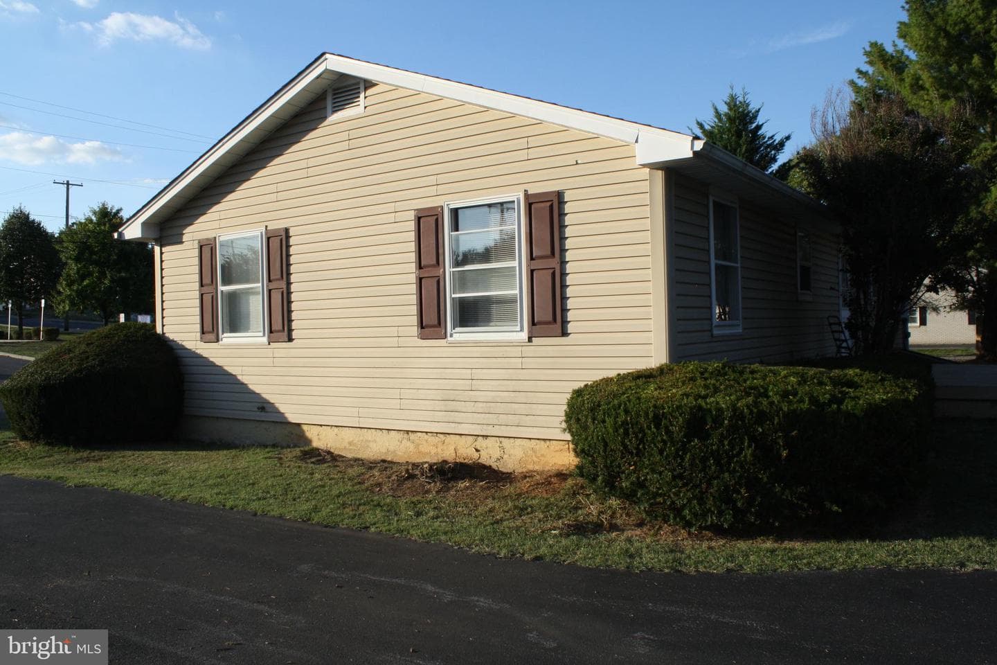 30 Willard Street photo 37