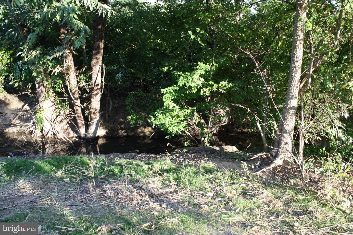 30 Willard Street photo 39
