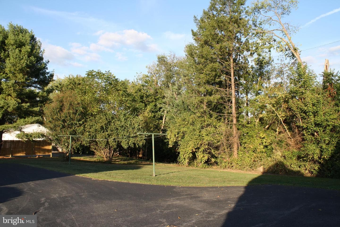30 Willard Street photo 4
