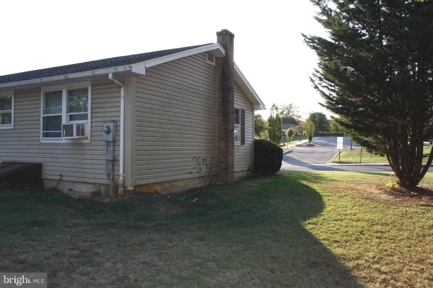 30 Willard Street photo 41