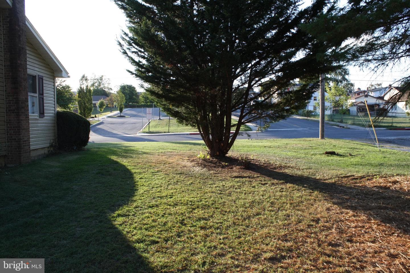 30 Willard Street photo 42