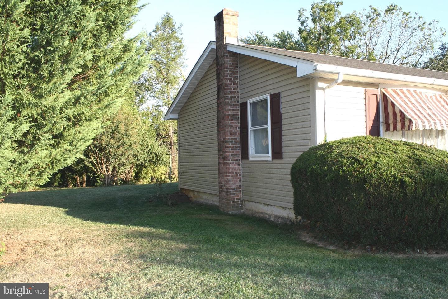 30 Willard Street photo 44