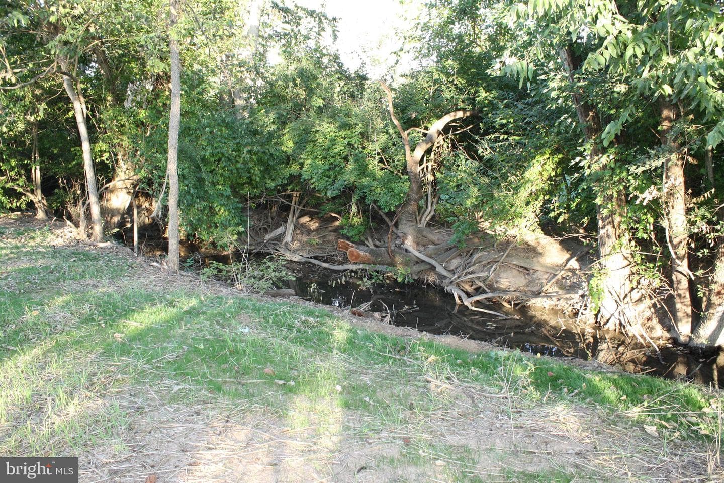30 Willard Street photo 5