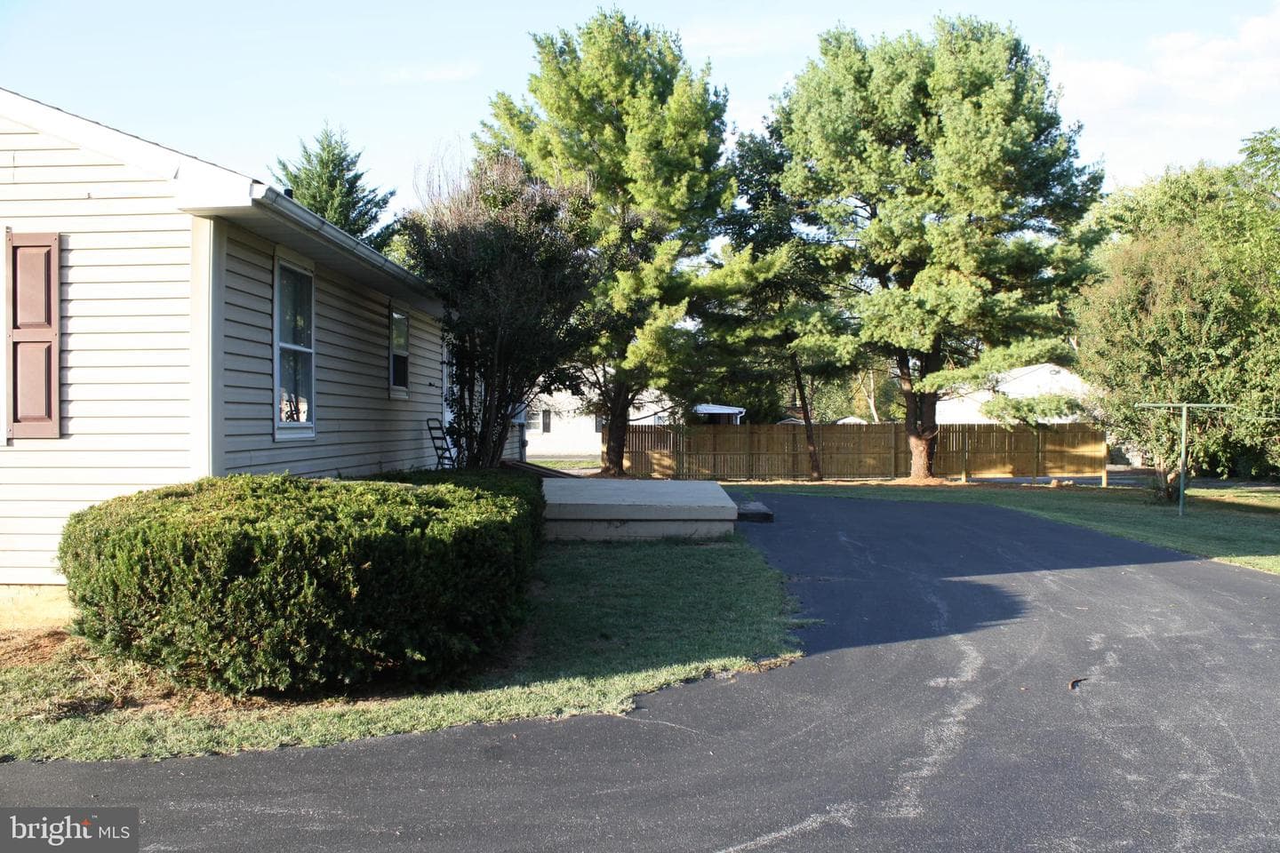30 Willard Street photo 6